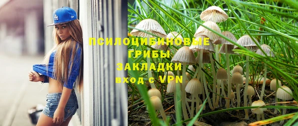 а пвп мука Алексин