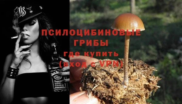 мяу мяу мука Абаза