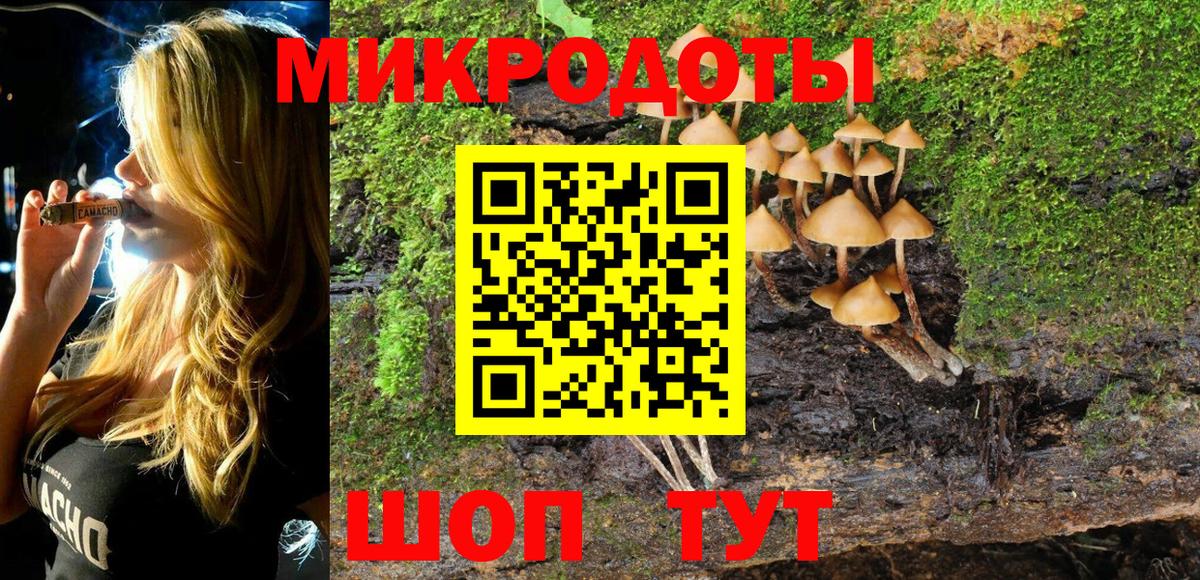Советский  Псилоцибиновые грибы Cubensis  Вход с VPN  Галлюциногенные грибы прущие грибы 