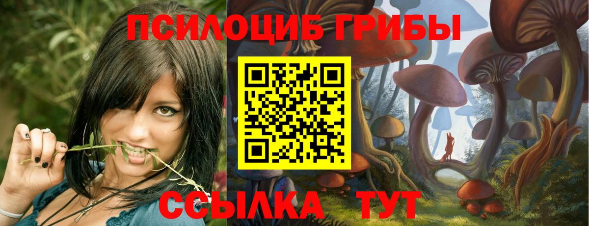 Псилоцибиновые грибы Magic Shrooms Советский
