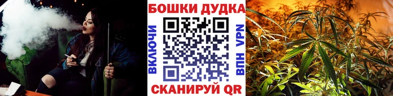 блэк спрут как зайти  Советский  Марихуана сатива 