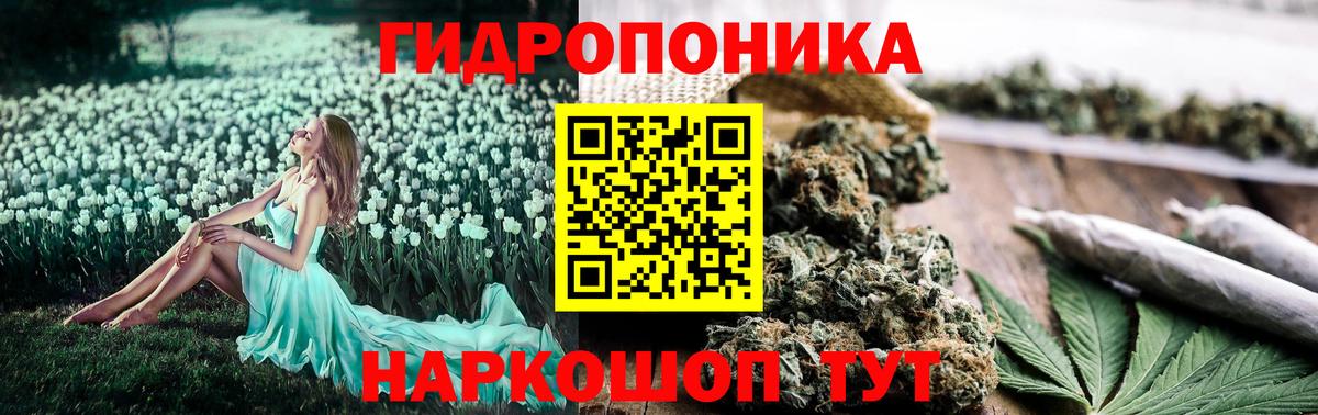 Конопля планчик Советский